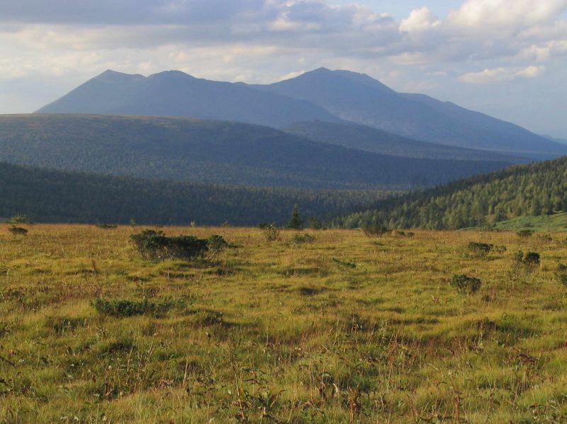 Что такое чувал фото